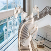 Villa Project Case Studies 15