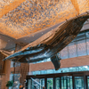 Hotel Project Case Studies 04